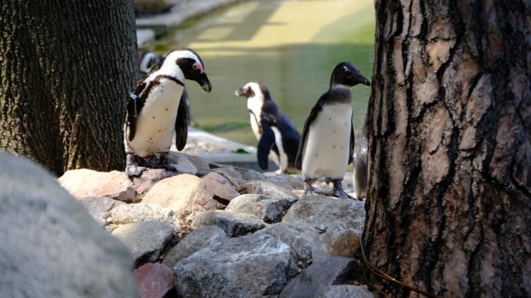 DSCF0798