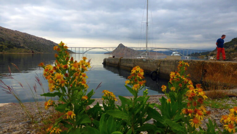 P1050647