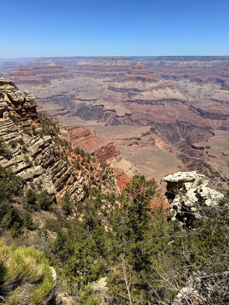 IMG_6677